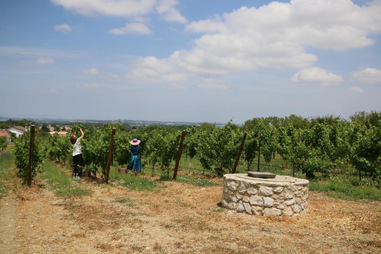 Quinta Da Chapeleira Em Azeitaoヴィラ エクステリア 写真